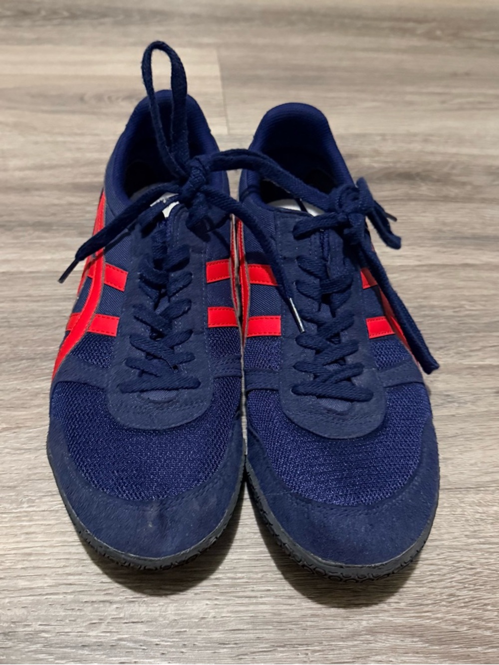 Onitsuka Tiger by Asics Navy Sneakers with Red Stripes